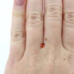 Saphir 0.25 ct Orange-Rot Oval – Intensives Farbspiel & Top Reinheit