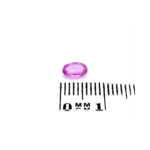 Saphir 0.54 ct Rosa Oval – Lebendiger Edelstein für stilvolle Schmuckstücke