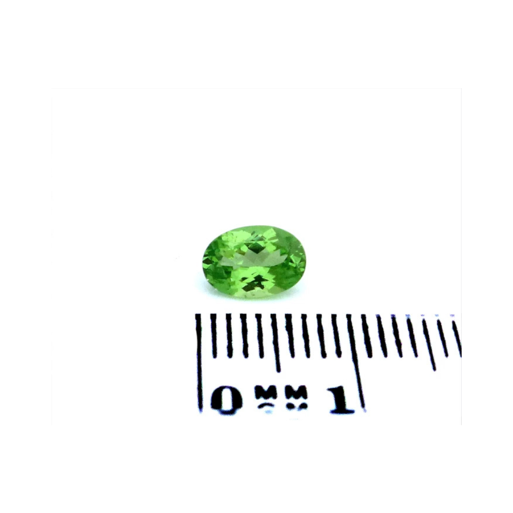 Granat 0.81 Karat Grün Oval (1) Granat 0.81 Karat Grün Oval – Grossular, 7 × 5 mm facettiert, augenrein mit Zertifikat (Kenia)