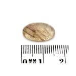 Rutilquarz 6.89 Karat