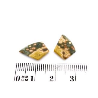 Jaspis-Platten 3.90 Karat Landschaftsjaspis Paar