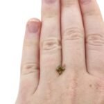 Zirkon 0.76 Karat Braun Quadrat – warmer Edelstein mit natürlichem Glanz – Saphir & Smaragd Zirkon 0.76 Karat Braun Quadrat