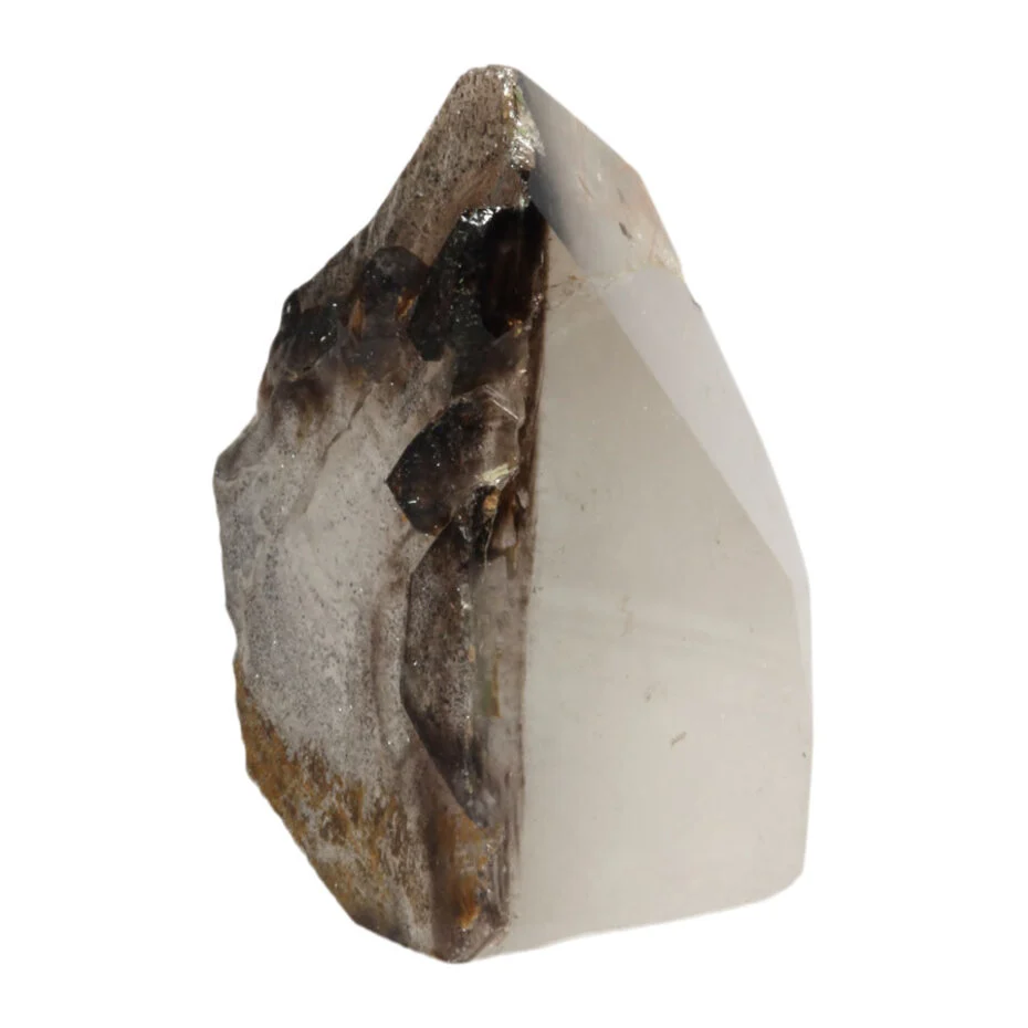 Protector Alligator Quartz Skulptur – 1014 g – Heilstein für Schutz, Erdung und Transformation